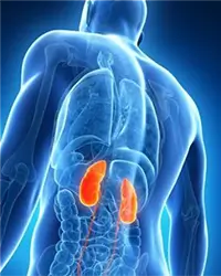 Doença Crönica Renal